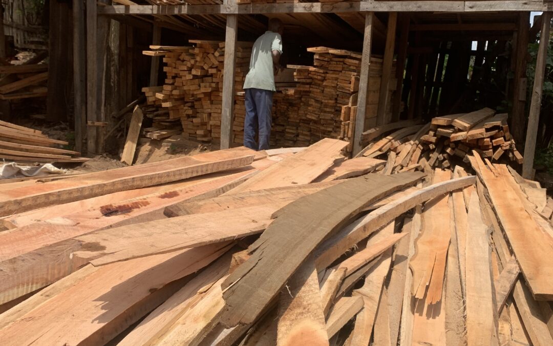 A guide to buying timber at a Kenyan Sawmill